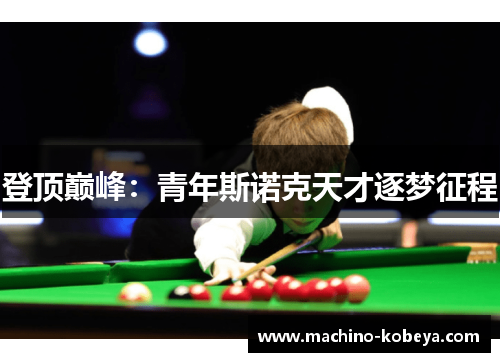 登顶巅峰：青年斯诺克天才逐梦征程
